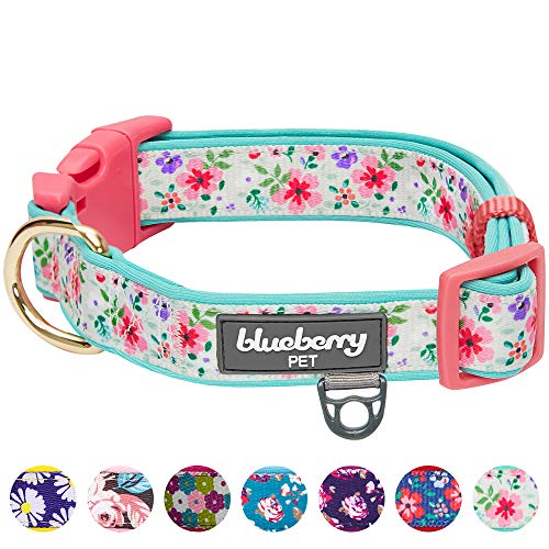 Product Cover Blueberry Pet 2020 New 7 Patterns Soft & Comfy Pretty Posies Spring Garden Green Padded Adjustable Dog Collar, Medium, Neck 14.5