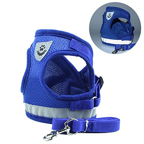 Product Cover Feiky Dog Harness No-Pull Pet Harness Adjustable Reflective Outdoor Pet Vest and Dog Leash Easy Control for Small Medium Dog or Cat (M,Blue)