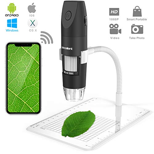 Product Cover Wireless Digital Microscope, Pancellent 1080P 50X to 1000X Magnification Microscopy with 8 LED, USB Handheld Camera with Light Compatible for iPhone Android, iPad Windows Mac
