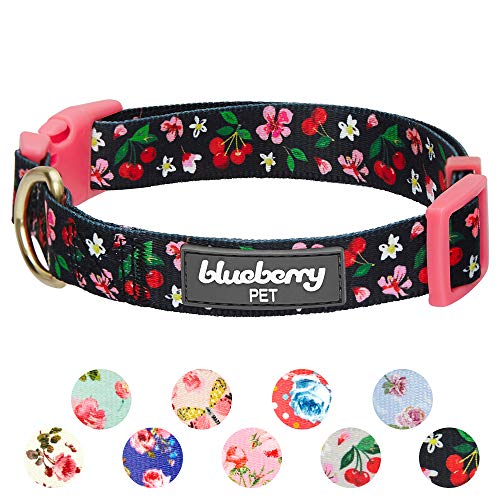 Product Cover Blueberry Pet 2020 New 11 Patterns Cherry Garden Black Adjustable Dog Collar with Dainty Flowers, Small, Neck 12