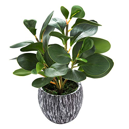 Product Cover AlphaAcc Mini Potted Artificial Plants Real Looking Plastic Fiddle Leaf Fig Plant with Rustic Black Cement Planter for House Office Desk Decor