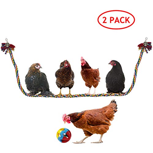 Product Cover BWOGUE Chicken Swing Large Rope Perch Bungee Climbing Ropes with Play Chicken Ball Toys,Parrot Bird Toy,59 Inches