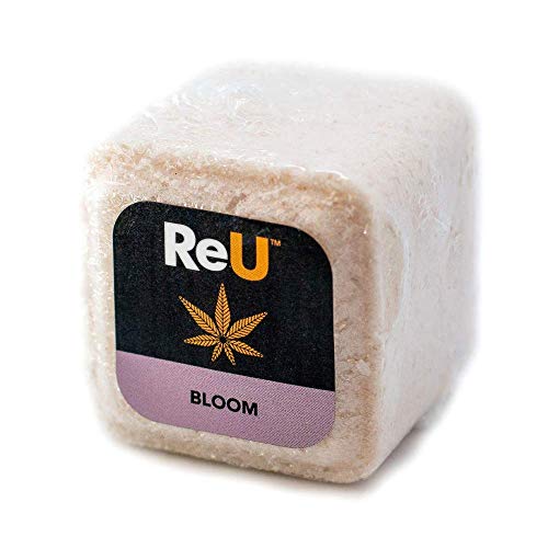 Product Cover Bath Bomb Cube by ReU - 100MG Organic Hemp Seed Oil with Pure Natural Essential Oils - Relieves Stress, Muscle, Back Pain, Softens Skin - No Artificial Dyes or Colors (Lavender + Jasmine)