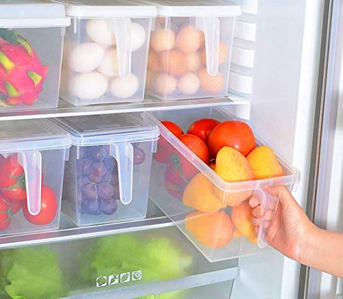 Product Cover Dhyani E Store Refrigerator Food Storage Organizer Lunch Boxes with Handle,Lid Top Cover and Transparent