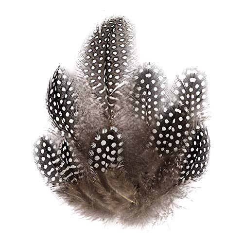 Product Cover Outuxed 150pcs 3-6 Inches Natural Spotted Feathers for Crafts DIY Jewelry, Clothing and Hat Decorations