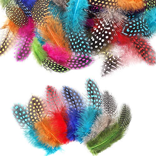Product Cover Outuxed 250pcs 3-6 Inches Colorful Natural Spotted Feathers Multicolor Hat Feathers for DIY Crafts, Jewelry and Clothing Decoration