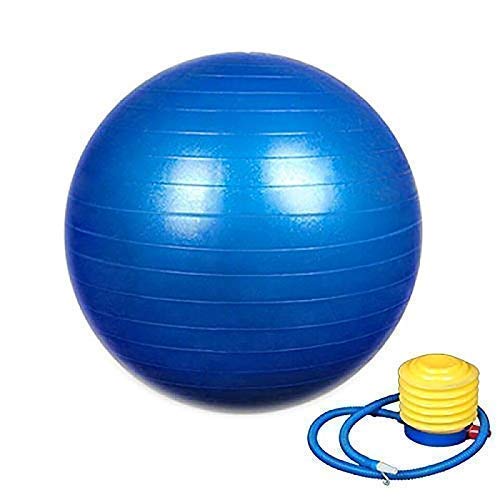 Product Cover Weltime Exercise Heavy Duty Gym Ball Non-Slip Stability Ball Anti Burst Yoga Ball Balance Ball Extra Thick Fitness Ball for Home, Gym, Office with Quick Pump (Gym Ball 75cm with Pump)(Multicolor)