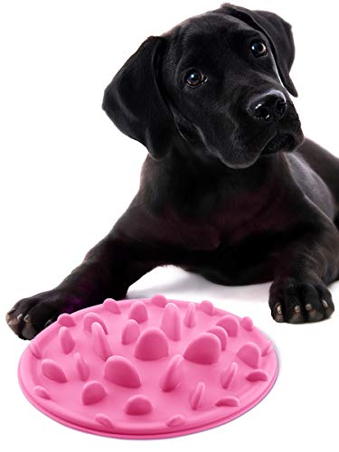 Product Cover Changkong Collapsible Travel Silicone Dog Bowl Outward Slow Food Feeder, Free Dog Frisbee