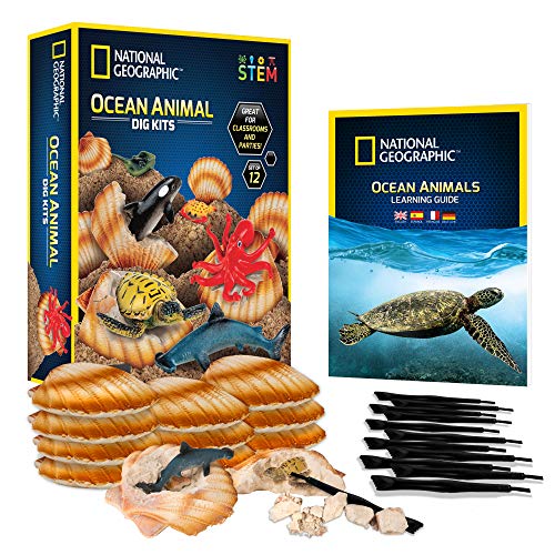 Product Cover NATIONAL GEOGRAPHIC Ocean Animal Dig Kit - 12 Seashell Shaped Dig Bricks with Sea Creature Figure Inside, Party Activity with 12 Excavation Sets, Stem Toy For Boys & Girls Or Fun Party Favors