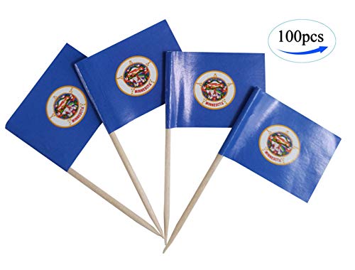 Product Cover JBCD Minnesota Flag Toothpicks Minnesotan Flags 100 Pcs Cupcake Toppers Flag Tooth Picks State Small Mini Stick Paper Flags Picks Party Decorations Celebrations Cocktail Food Bar Cake Flags