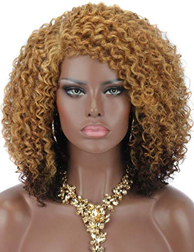 Product Cover Kalyss Blonde to Brown Afro Kinky Curly Wigs for Women Premium Synthetic Hair Wig Curved L Part Natural Looking Hair Wigs for Women