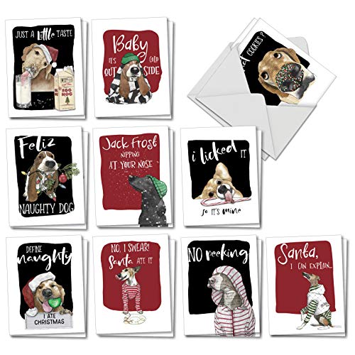 Product Cover The Best Card Company Holiday Dog Antics - 20 Assorted Boxed Merry Christmas Note Cards with Envelopes (4 x 5.12 Inch) - Featuring Man's Best Friend Disrupting Christmas Celebrations AM2918XSG-B2x10