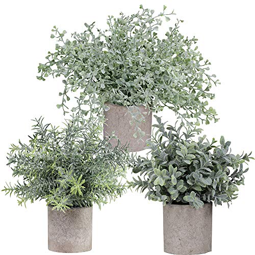 Product Cover Winlyn Mini Potted Plants Artificial Flocked Eucalyptus Boxwood Rosemary Greenery in Pots Faux Potted Herbs Small Houseplants 8.8
