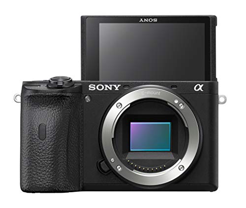 Product Cover Sony Alpha A6600 Mirrorless Camera