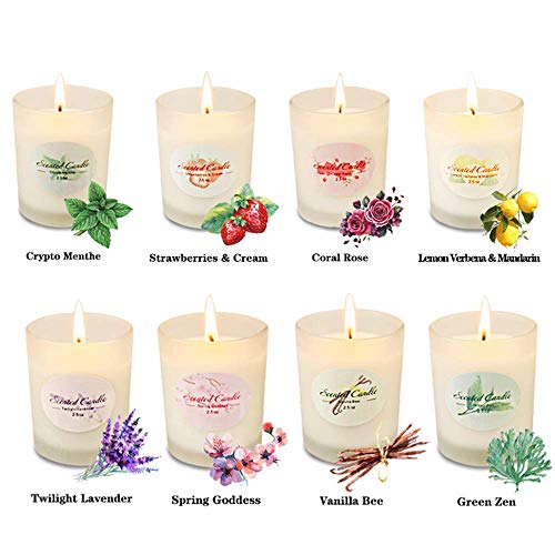 Product Cover Y YUEGANG Gifts for Women, Scented Candles Natural Soy Wax, 8 x 2.5 Oz Portable Glass Candles with Strongly Fragrance Essential Oils for Stress Relief and Aromatherapy - 8 Pack