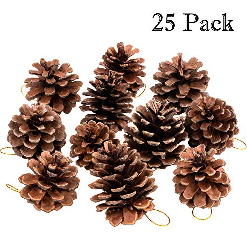 Product Cover Whaline Natural Pine Cones,Christmas Rustic Pinecones Bulk Ornaments with String for Gift Tag Party Hanging Fall Thanksgiving and Christmas Tree Decoration (25 Pieces,1.6-2.4 Inches)