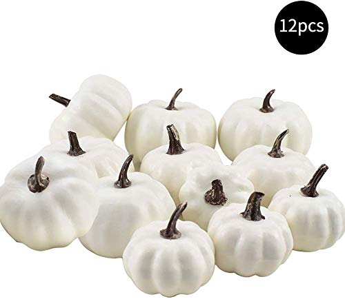 Product Cover Exceedt 12 PCS Rustic Assorted Sizes White Artificial Pumpkins Fall Thanksgiving Decorating Harvest Embellishing and Displaying for Halloween