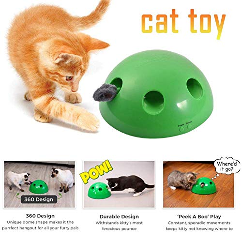 Product Cover JUNMAO Cat Interactive Toys,Play Interactive Motion Cat Toy, Funny Cat Scratching Training Toy for Pet Kitty Cats Electronic Smart Random Moving Feather Mouse Teaser (Green)