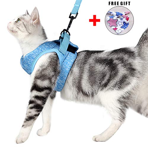 Product Cover Wooruy Cat Harness and Leash Set for Walking 360° wrap-Around Small Cat and Dog Harness Cushioning and Anti-Escape Suitable for Puppies Rabbits with Cationic Fabric (Small, Blue)