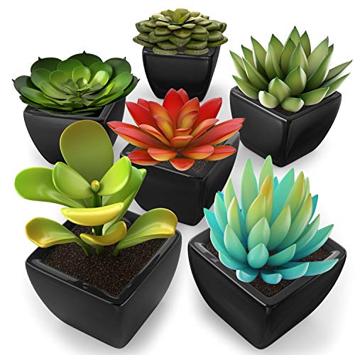 Product Cover kdelicate Artificial Succulent Assorted Decorative Faux Succulent Fake Plants with Black Ceramic Pots -Pack of 6