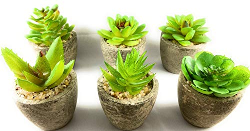 Product Cover Artificial Succulent Plants 6 Pack. Fake Succulents for Plant Decor in a Small Pot! The Durable Pots are Exotic with Wonderful Decorative Cactus Pieces. Mini Potted Greenery in Office/Home Decoration