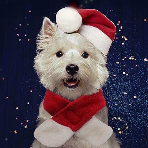 Product Cover PULEIDI Pet Dog Cat Santa Hat Costume - Christmas Cat Costume with Hat and Scarf for Small Dogs, Perfect for Holloween,Holiday, Christmas,Party, Photos