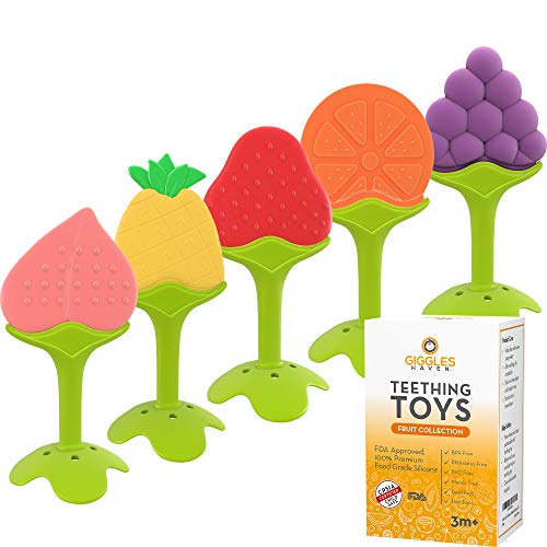 Product Cover Teething Toys (5-Pack) - Fruit Shaped Silicone Baby Teethers - BPA-Free Sensory Pacifiers for Natural Brain Development of Infants and Toddlers - Unique Gift Accessories for Newborn Girls and Boys