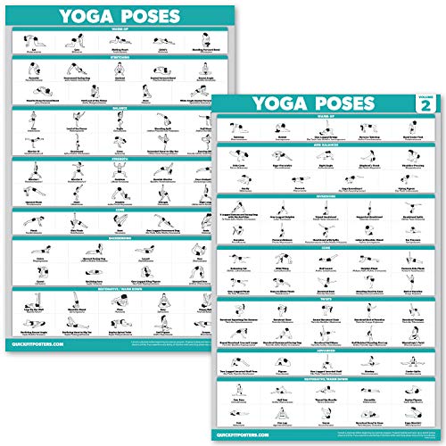 Product Cover QuickFit 2 Pack - Yoga Poses Poster Set - Beginner Yoga Position Charts - Volume 1 & 2 (Laminated, 18