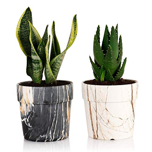 Product Cover Greenaholics Marble Plant Pots - 5 Inch Ceramic Planters with Drainage Hole, Round Flower Pots Indoor, Set of 2, Black&White