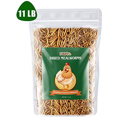 Product Cover LUCKYQ Mealworms 11Lbs, High-Protein Bulk Dried Mealworms, 100% Non-GMO Mealworm Treats for Birds, Chickens, Turtles, Fish, Hamsters and Hedgehogs All Natural Animal Feed