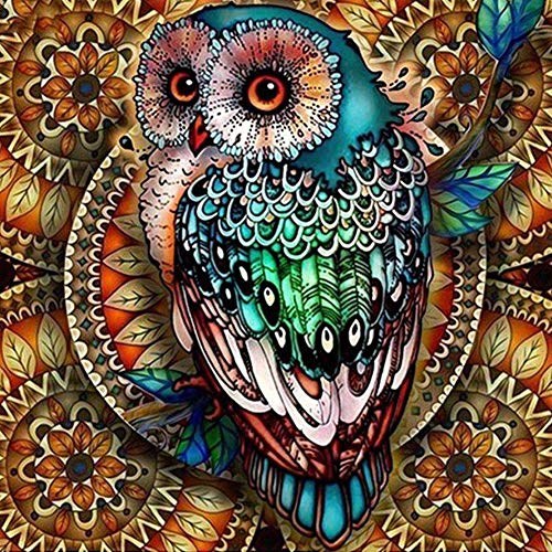 Product Cover BOHADIY Diamond Painting Kits for Adults - 5D DIY Round Diamond Number Kits with Full Drill - Crystal Rhinestone Diamond Embroidery Paintings Great for Home, Office, Wall Decor 11.8×11.8 Inch (Owl)