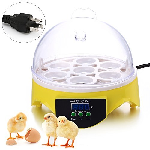 Product Cover OppsDecor 7 Egg Incubator with Automatic Egg Turning Digital Clear Hatching Chickens Duck Birds Eggs Thermometer Temperature Control 90W (Seven Egg)