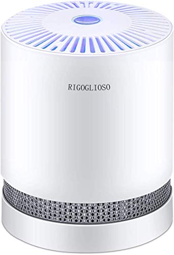Product Cover RIGOGLIOSO True HEPA Filter Air Purifier for Home Smokers Allergies and Pets Hair,Filtration System Cleaner Eliminators,Compact Desktop Purifiers Filtration with Night Light,Air Cleaner,GL2109