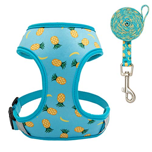Product Cover EXPAWLORER Dog Harness and Leash Set - Adjustable Soft Padded Puppy Vest Harness - Pineapple Sunflower Double-Sided Printed - for Small Dogs Cats, Medium
