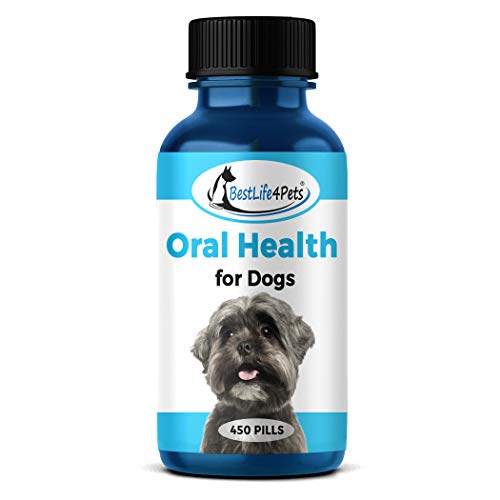 Product Cover BestLife4Pets Oral Health for Dogs Dental Remedy - Highly Effective Natural Treatment for Inflammatory & Ulcerative Ailments, Stomatitis and Gingivitis. No Smell, No Side Effects