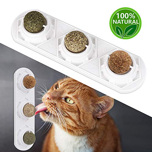 Product Cover Peteast Cat Toys, Catnip Toys Edible Balls Natural Healthy with Silvervine/Gall Nut, Pastable Kitten Treat Toy