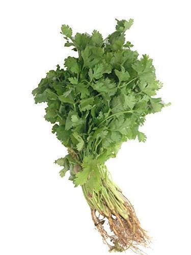 Product Cover Fresh Produce Coriander Leaves 1 Bunch (150-200 gm)