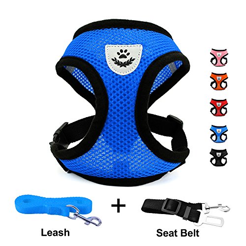 Product Cover INVENHO Mesh Harness with Padded Vest for Puppy and Cats No Choke Design Ventilation Gift with One Leash & Seat Belt (Small, Blue)