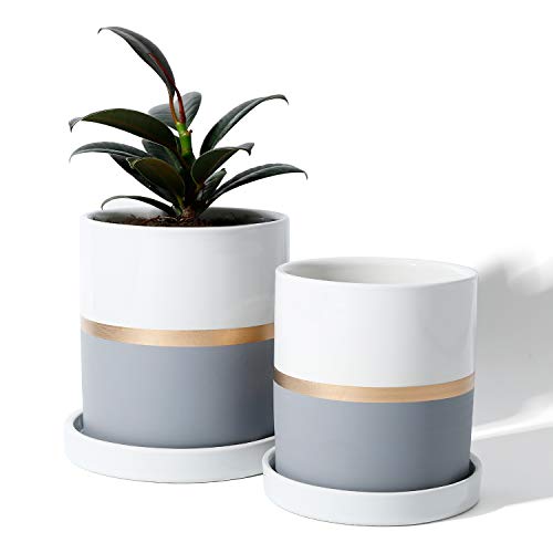 Product Cover POTEY Cylinder Ceramic Plant Pot - 4.9 & 3.9 Inch Planters with Grey Golden Detailing for Indoor Plants Flower Succulent with Drainage Hole & Saucer, Set of 2
