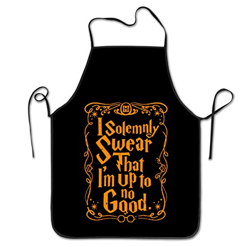 Product Cover NVJUI JUFOPL Cooking Kitchen Chef Apron Funny Bib Aprons for Women Men - I Solemnly Swear That I am Up to No Good