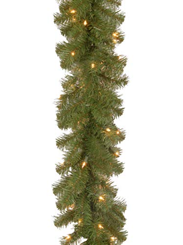 Product Cover National tree 9 Foot by 10 Inch North Valley Spruce Garland with 50 Battery Operated Dual Color LED Lights (NRV7-302LD-9AB1) (Renewed)
