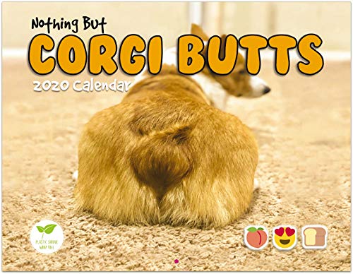 Product Cover Corgi Butts 2020 Funny Dog Calendar - Perfect Gift for White Elephant and Secret Santa