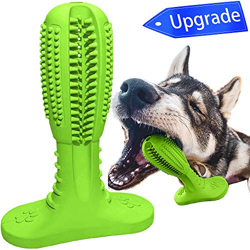 Product Cover Wisedom Dog Chew Toothbrush Teeth Cleaning Toys Puppy Brushing Stick Dental Oral Care for Pet (New)
