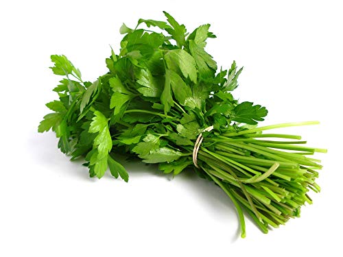 Product Cover Fresh Produce Coriander, 100 gm