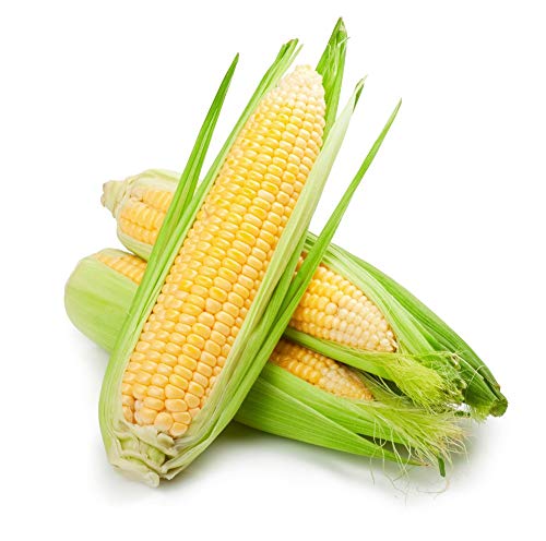 Product Cover Fresh Produce Sweet Corn Loose, 1 pc