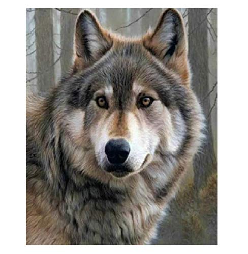 Product Cover ACANDYL DIY Paint by Number Wolf Paint by Numbers Kits for Kids Adults Students Beginner Canvas Painting by Numbers Acrylic Painting Arts Craft for Home Wall Decoration Wolf 16x20 Inch