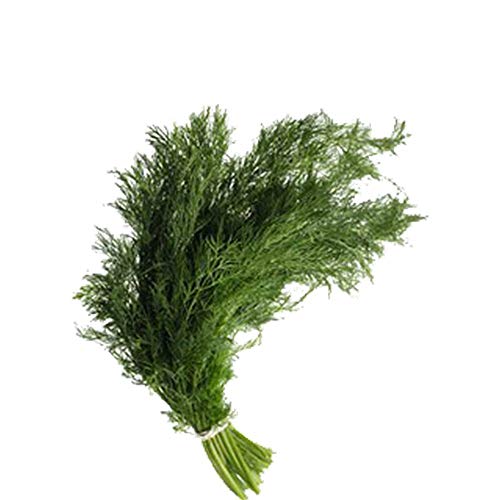 Product Cover Fresh Produce Dill Leaves/Shapu 1 Bunch (75g -100 g)