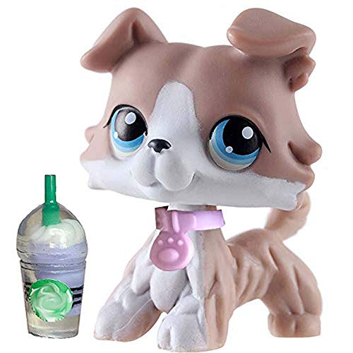 Product Cover QY lps Collie #67 Gray and White Dog with Blue Eyes lps Figures with lps Accessories Collar and Drinks Kids Collectable Gift