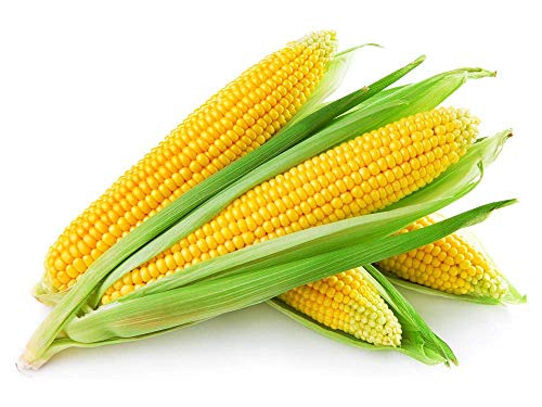 Product Cover Fresh Produce Sweet Corn Cob (Unpeeled) - 2Pc (250g -350g Each )