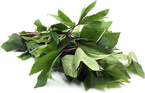Product Cover Fresh Produce Gongura Leaves 1 Bunch (180 g - 200 g)